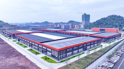 競逐運動賽道 安岳以鞋興業，跑出產業鏈發展新路徑