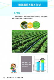 高效節水 潤澤甬城——寧波市水利局噴微灌技術推廣應用宣傳冊
